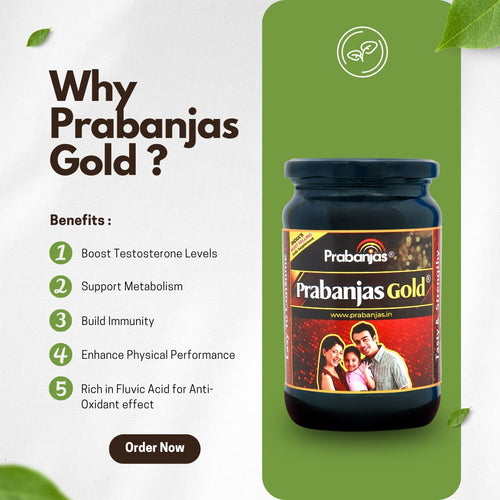 Prabanjas Gold™ | All-in-One Wellness Supplement - 2nd image