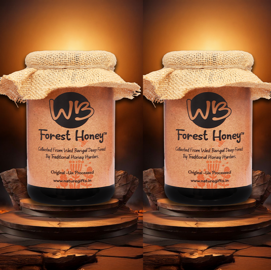 2 Pack of Forest Honey - (100% Pure Honey collected from Hills & Mountains)